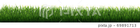 Green Grass Border White Background Green Grass Border White Background 69891713