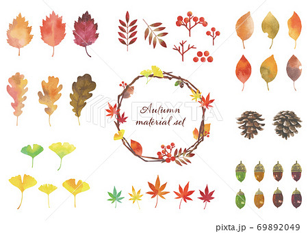 秋の葉や実の素材パーツセット 水彩画イラストのイラスト素材 6949
