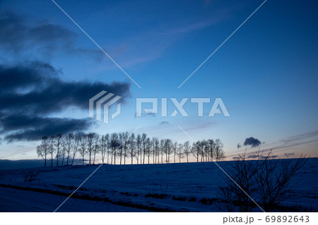 冬の夕暮れの空と木のシルエット 美瑛町 冬の夕暮れの空と木のシルエット 美瑛町 69892643
