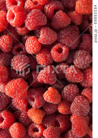 Close up of the ripe raspberry as background. 69893584