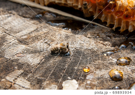 Section of wax honeycomb from beehive on the vintage wooden background. . 69893934