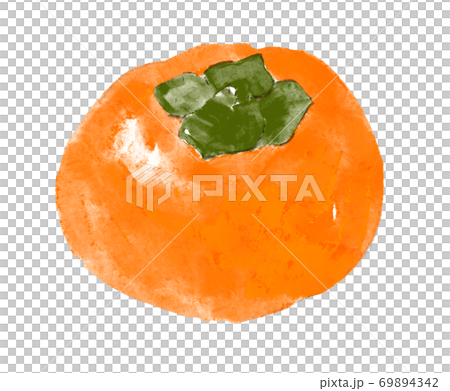 熟れた柿の実 水彩風 熟れた柿の実 水彩風 69894342