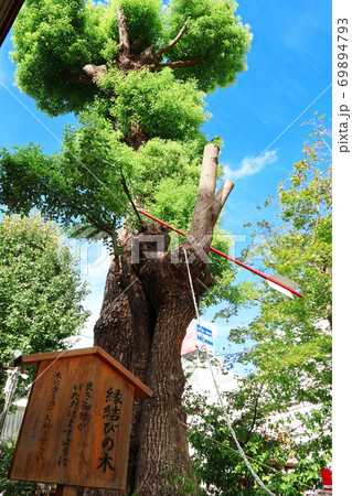 縁結びの神様を祀る、三輪神社〈愛知県名古屋市〉 縁結びの神様を祀る、三輪神社〈愛知県名古屋市〉 69894793