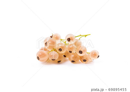 White currant berry isolated on white. A bunch of white currant.. 69895455