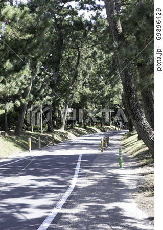 東海道 御油の松並木 東海道 御油の松並木 69896429