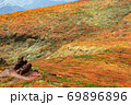 栗駒山須川分岐付近の紅葉 69896896