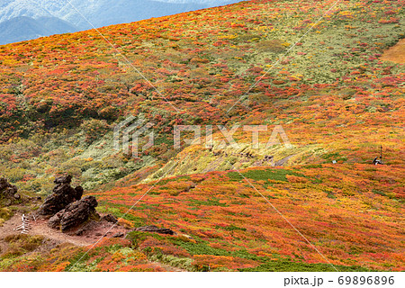 栗駒山須川分岐付近の紅葉 69896896