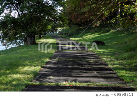 公園の遊歩道 公園の遊歩道 69898211