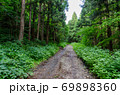 草木が生い茂る夏の林道 69898360