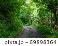 草木が生い茂る夏の林道 69898364