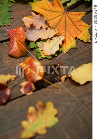 autumn still life in rustic style as a background - leaves on a wooden boards 69899149