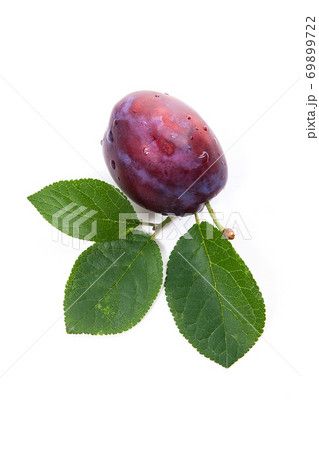 Ripe plum with water drops and green leaf  isolated on white background.. 69899722