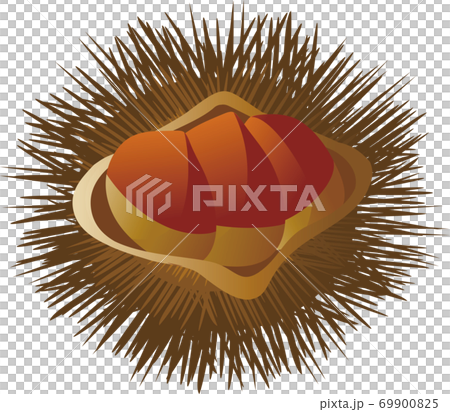 庫裡伊賀栗子插圖素材 庫裡伊賀栗子插圖素材 69900825