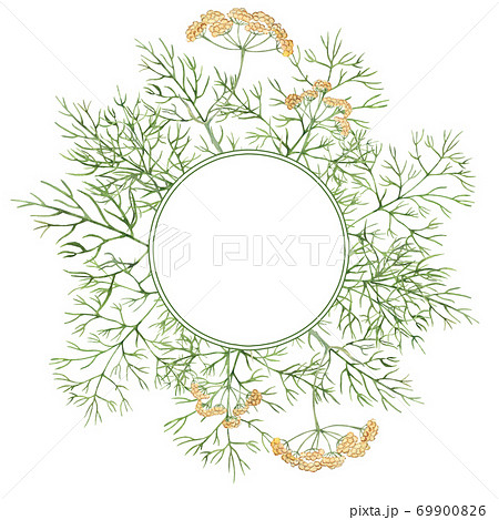 Frame with watercolor green dill Frame with watercolor green dill 69900826
