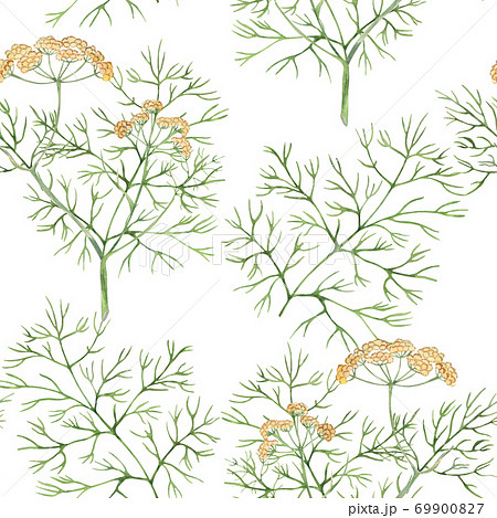 Watercolor pattern with green dill Watercolor pattern with green dill 69900827
