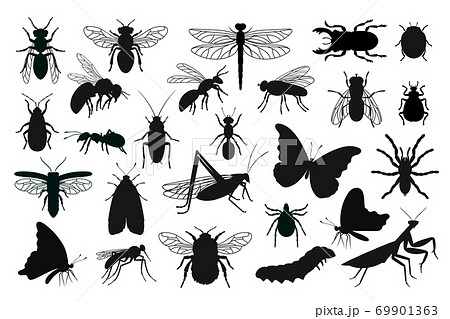 Insects silhouettes set 69901363