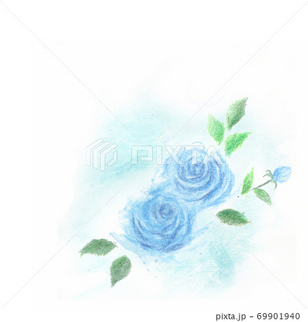 青薔薇のイラスト素材