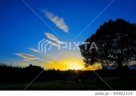 夕暮れ時の公園 夕暮れ時の公園 69902324