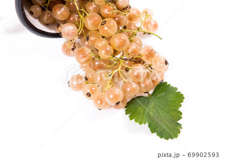 White cup with white currant berry in it and small bunch of white currant with green leaf isolated on white.. White cup with white currant berry in it and small bunch of white currant with green leaf isolated on white.. 69902593