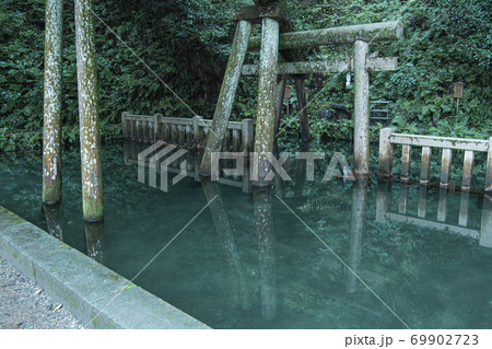 鹿島神宮　御手洗池 69902723