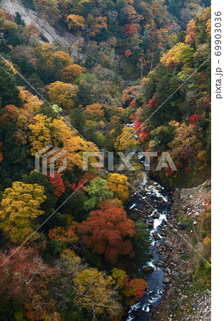 美しい渓谷と紅葉。 大分県阿蘇くじゅう国立公園で撮影。 美しい渓谷と紅葉。 大分県阿蘇くじゅう国立公園で撮影。 69903036