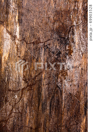 Moss and mold affect a wooden planks. 69903528