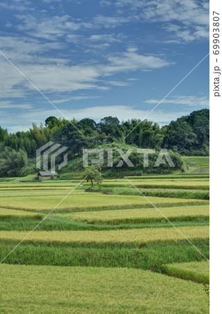 田園風景 田園風景 69903807