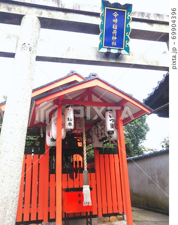 派手なお参り神社 派手なお参り神社 69904396