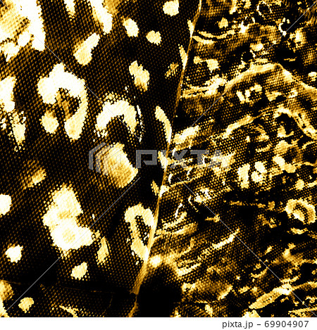 Metal Background Texture Leopard. Golden Spots.  69904907