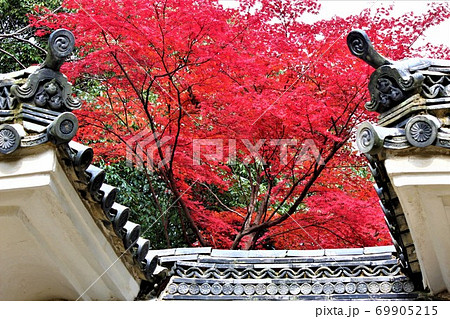 軒先の間から燃えるような紅葉が見える 軒先の間から燃えるような紅葉が見える 69905215