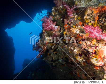 The opening of underwater cave covered with corals 69906191