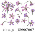 手描きの花の線画素材集 69907007