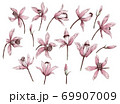 手描きの花の線画素材集 69907009