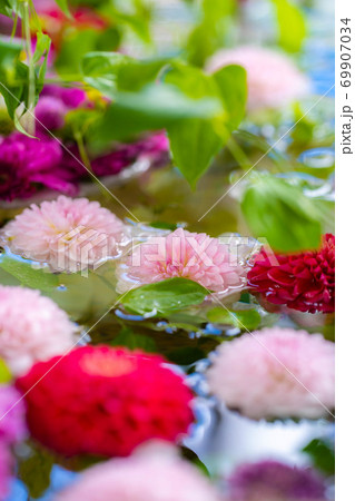 穂高神社の花手水 長野県 の写真素材