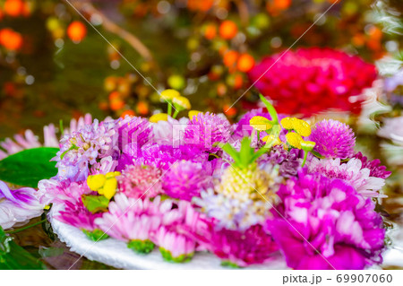 穂高神社の花手水 長野県 の写真素材