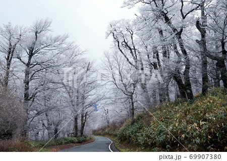 雪に覆われた森 凍るような冬の風景 木には霧氷 の写真素材
