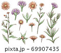 手描きの花の線画素材集 69907435