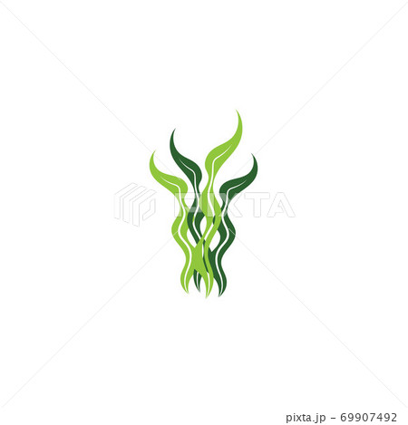 seaweed vector illustration template 69907492