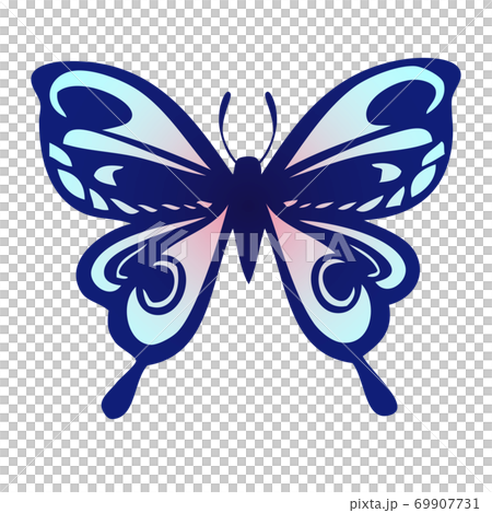模様のある蝶のイラストのイラスト素材