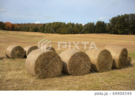hay bales in country field landscape agriculture straw 69908349