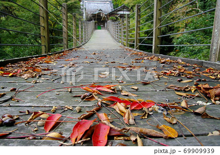 吊り橋の落葉と沢山不動堂（千葉県南房総市） 69909939