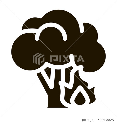 Fire Burning Tree Icon Illustration 69910025