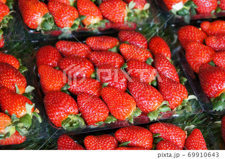Strawberries are packaged in plastic containers for sale. Neatly arranged to attract customers. 69910643
