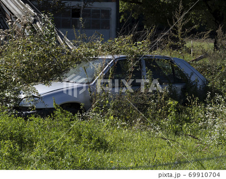 Old abandoned Rusted Car in a field 69910704