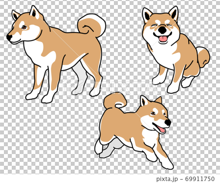 柴犬 赤毛 のポーズ 表情集のイラスト素材