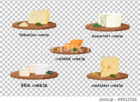 Various types of cheese. Realistic meal vector collection. 69912508