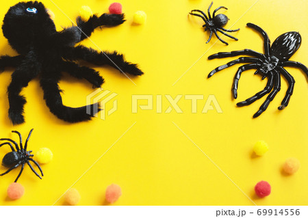 Halloween house decorations,A spider on a yellow background. Halloween house decorations,A spider on a yellow background. 69914556