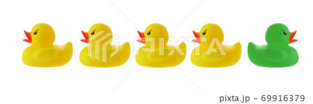 Ducks NOT in a row isolated on white with clipping path 69916379