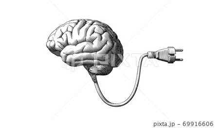 Brain with electric plug vintage drawing illustration Brain with electric plug vintage drawing illustration 69916606
