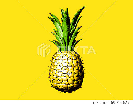 Colorful engraving pineapple illustration on yellow BG 69916627